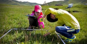 Children from the city and the local community are taking scientific measurements to better understand the grasslands.