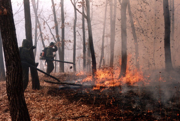 Firefighting volunteers in action. (Photo: Pacific Environment)