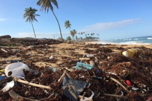 Plastic trash is swept onto a otherwise beautiful beach. Palm trees blow in the wind as blue water sweeps on the beach.