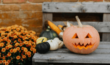 Jack o lantern on a wooden bench