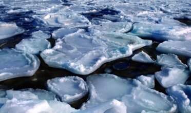 Melting Ice Floes on Arctic Water