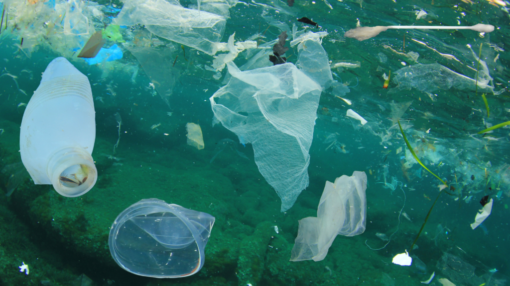 Pieces of plastic waste including a plastic cup and plastic bottle float in a body of water.